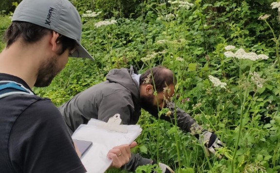 Students sampling plants